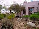 Residential Landscape Design